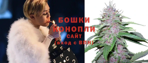 дурь Горно-Алтайск