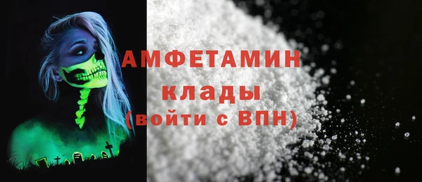 ECSTASY Горняк