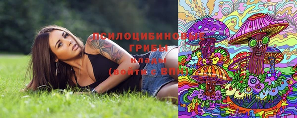 ECSTASY Горняк