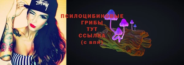 ECSTASY Горняк