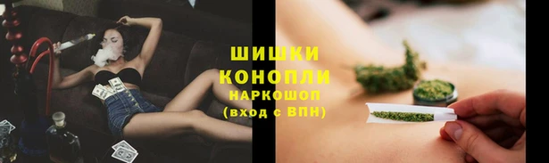 ECSTASY Горняк