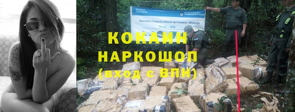 стаф Ступино