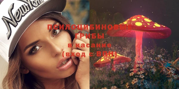 дурь Горно-Алтайск