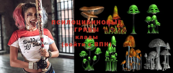 дурь Горно-Алтайск