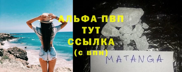 ECSTASY Горняк