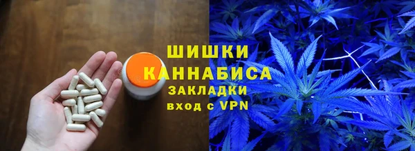ECSTASY Горняк