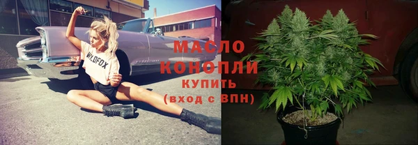 ECSTASY Горняк