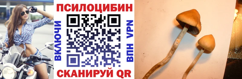 Галлюциногенные грибы прущие грибы  Шахты 