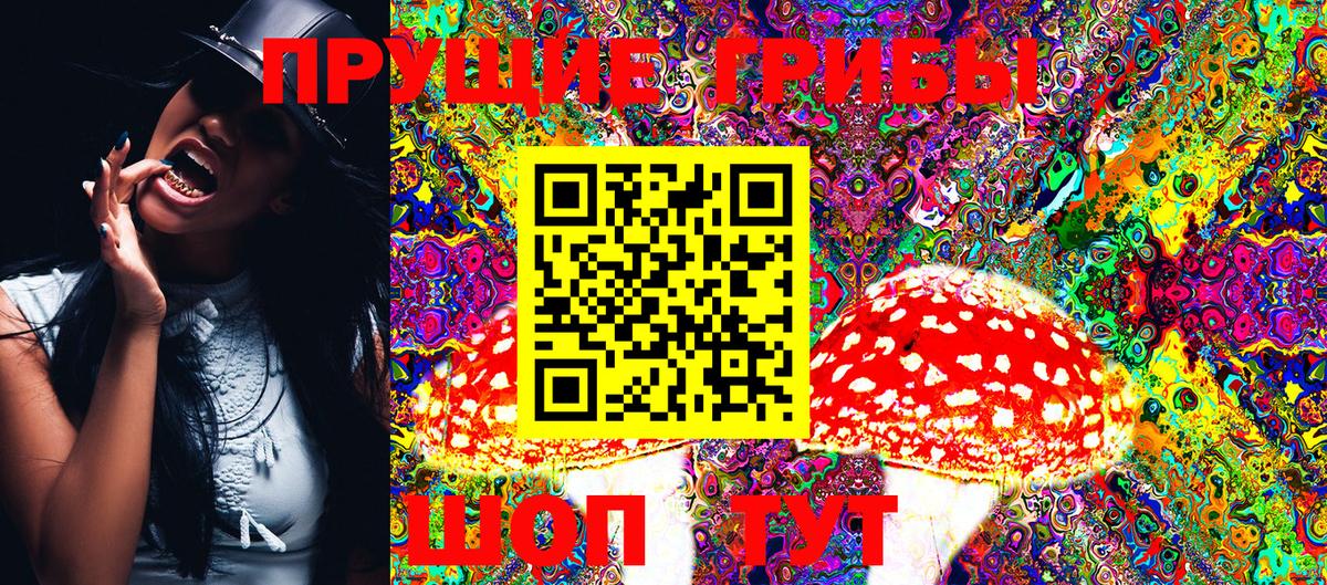 Шахты  Галлюциногенные грибы GOLDEN TEACHER  Вход с VPN 