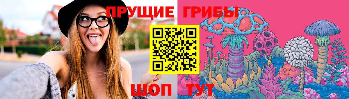Галлюциногенные грибы мицелий Шахты